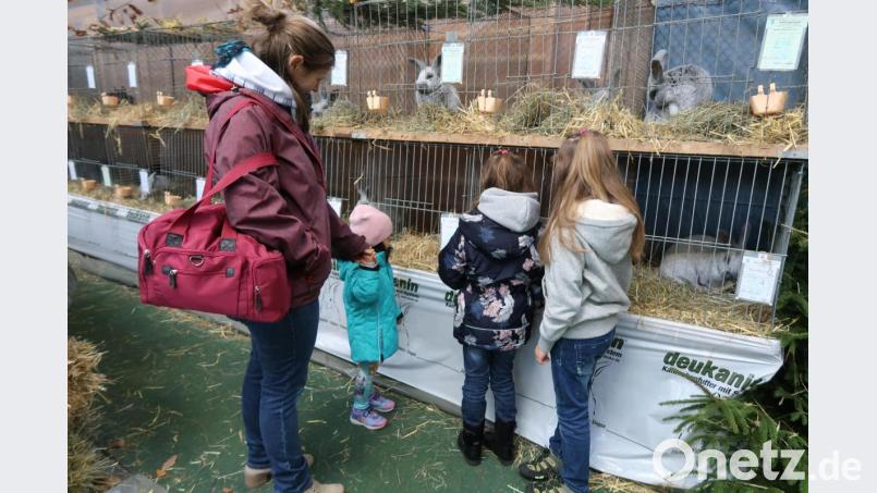 Die alljährliche Lokalschau zog in Friedenfels viele Besucher an. Neben den erfolgreichen Züchtern wird in diesem Jahr das breite Angebot auch den jüngsten Besuchern besonders gefallen. Bild: bsc