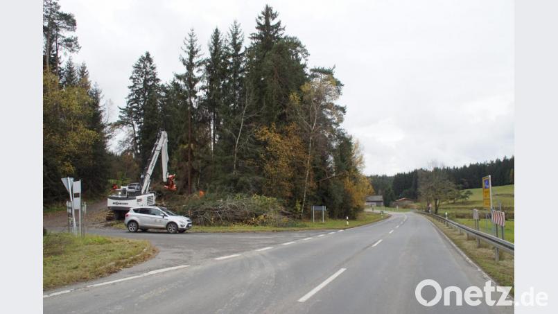 Ab der Abzweigung in Richtung Weiding haben am Dienstagnachmittag Bäumfällarbeiten zur Vorbereitung des Staatsstraßenausbaus begonnen. Bild: mmj