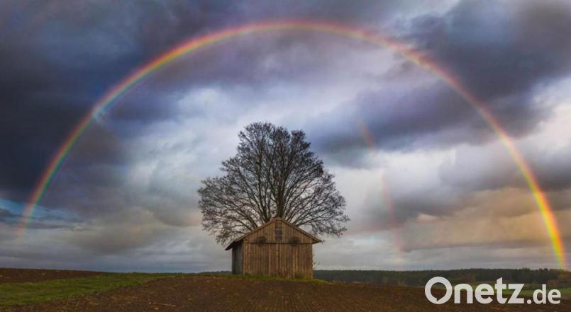 Regenbogen bei Irchenrieth Bild: Lena Held