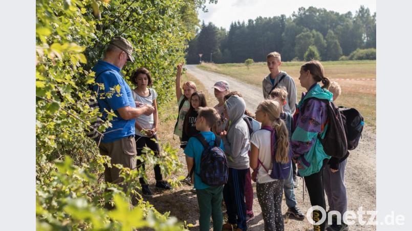 Förster Uli Keltsch informiert die Kinder bei Exkursionen nicht nur über die Tier- und Pflanzenwelt der Region, sondern warnt auch vor Verschmutzung durch Plastikteile, die letztendlich auch in der Nahrung landen. Bild: dtr