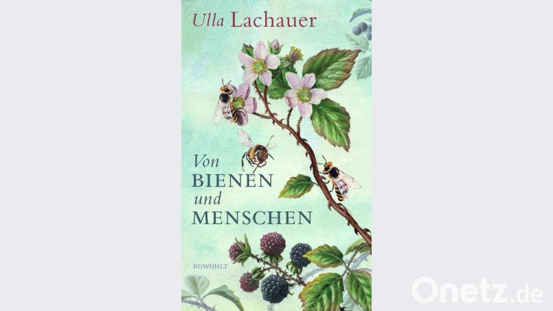 Buchcover Bild: Rowohlt Buchverlag