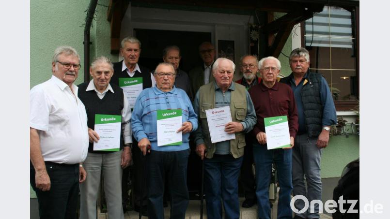 Mit einer Ehrenurkunde für seine 25-jährige Mitgliedschaft im Rentnerverein wird Hans Rauch (Vierter von rechts) ausgezeichnet. Urkunden für 20 Jahre Zugehörigkeit bekommen (vorne, Zweiter bis Vierter von links) Hubert Hafner, Manfred Müller und Josef Dromann sowie (hinten, von links) Hans Hafner, Peter Schramm und Ludwig Hans Krapf. Vorsitzender Hans Joachim Heinzel (links) und sein Stellvertreter Roland Biersack (rechts) überreichen die Auszeichnungen. Bild: gpa