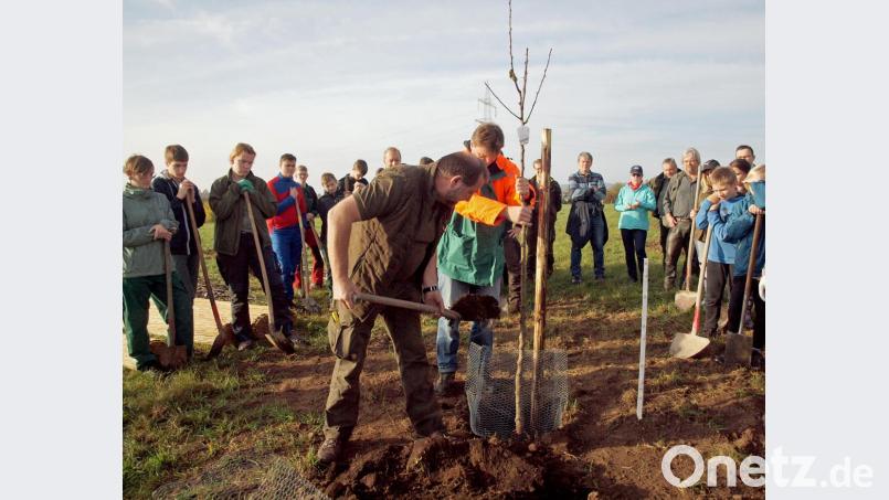 Wildraumlebensberater Balduin Schönberger zeigt den Schülern, wie ein Baum gepflanzt wird. Bild: sön