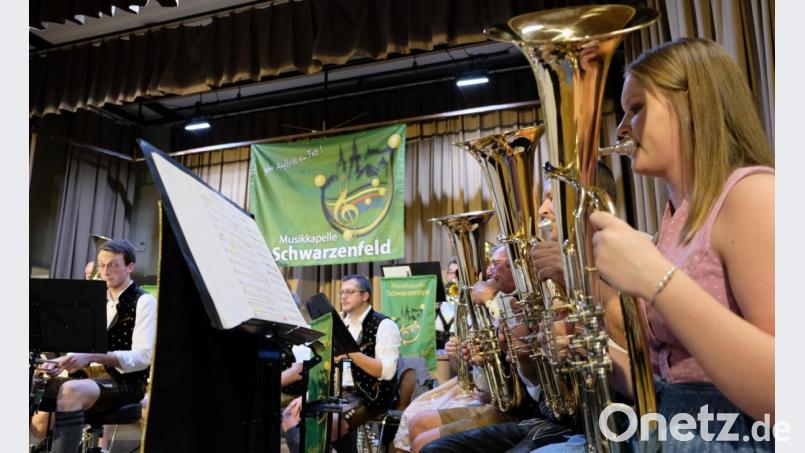 Ob bei Soloeinlagen oder im Zusammenklang des gesamten Orchesters: Beste musikalische Unterhaltung war geboten. Bild: Picasa