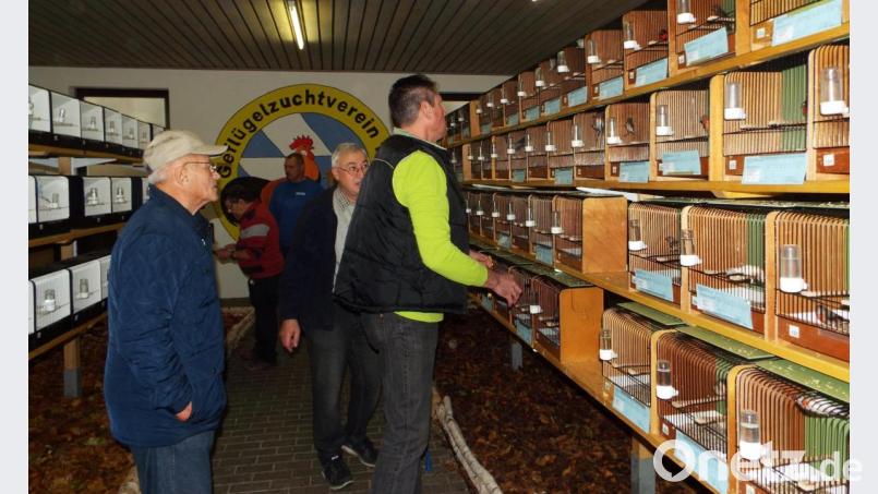 Die Oberpfalzschau der Vilstaler Vogelfreunde lockte viele Besucher nach Lengenfeld. Bild: e