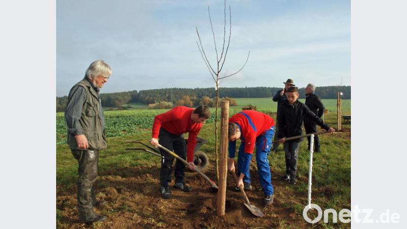 Landschaftsarchitekt Reinhold Galli (links) unterstützte die Jugendlichen bei ihrer Pflanzaktion. Bild: sön