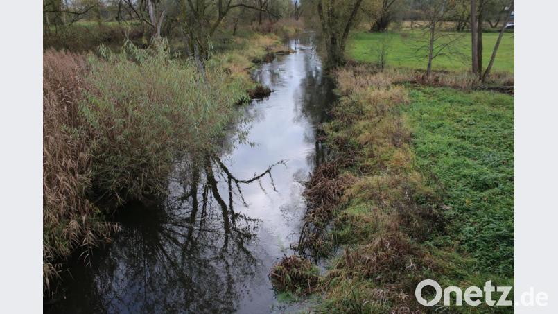 Die Creußen in Gmünd werde immer mehr zur &quot;Kloake&quot;, meint Josef Neubauer (CSU). Er schlägt deshalb vor, den Fluss auszubaggern. Bild: sne