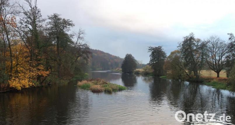 Die Naab, hier ein Blick von der Heubrücke in Fronberg, soll durchlässiger werden. Dazu hat das Wasserwirtschaftsamt einen Maßnahmenkatalog erarbeitet. Das Konzept war Gegenstand eines Expertengesprächs. Bild: Hirsch