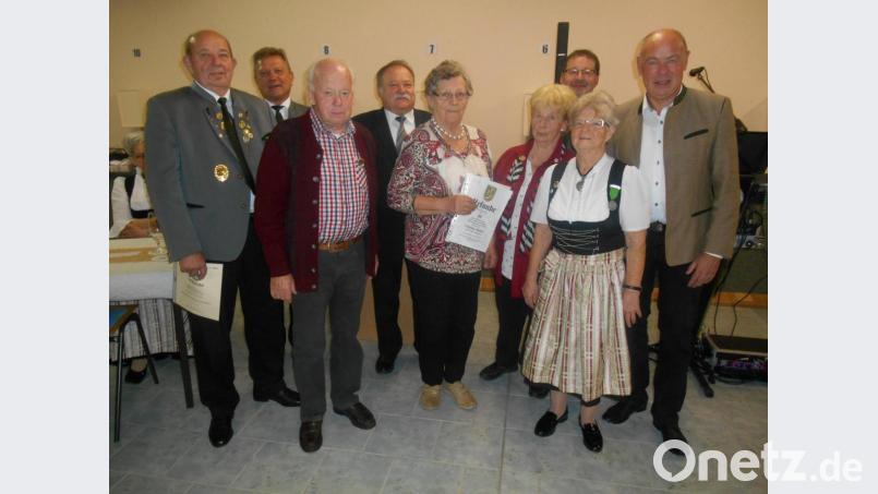 Die Geehrten (von links): Johann Solfrank, Norbert Franzel, Josef Meiler, Ludwig Mayer, Rita Roßner, Hans Hammer, Gretel Bäumler und Bürgermeister Roland Strehl. Bild: e