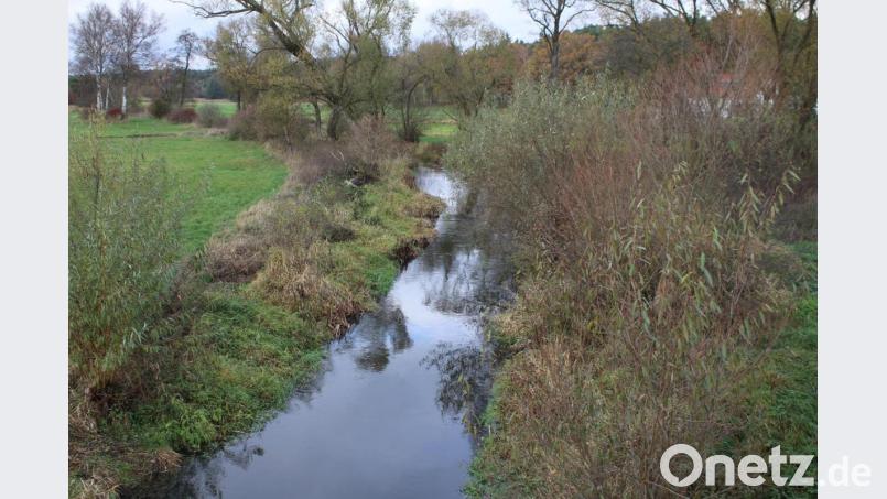 Die Creußen in Gmünd werde immer mehr zur &quot;Kloake&quot;, meint Josef Neubauer (CSU). Er schlägt deshalb vor, den Fluss auszubaggern. Bild: sne