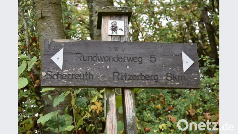 Direkt am Rundwanderweg Nummer fünf steht die Bank, von der aus sich ein herrlicher Blick Richtung Pfaffenreuth und Dietersdorf bietet. Bild: Lowak