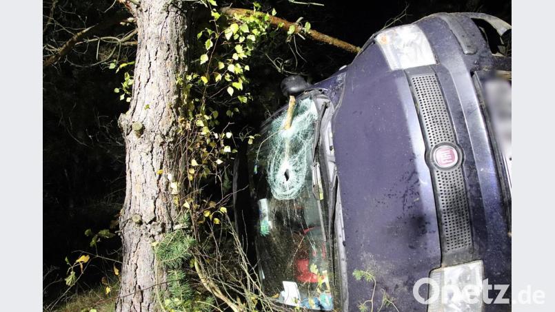 Zwischen den Bäumen endet der Überschlag für diesen Personenwagen. Bild: jma