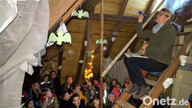 Judith Gleißner erzählte den vielen kleinen Gästen die Geschichte vom Poltergeist, der sich später als Waschbär entpuppte. Bild: flt