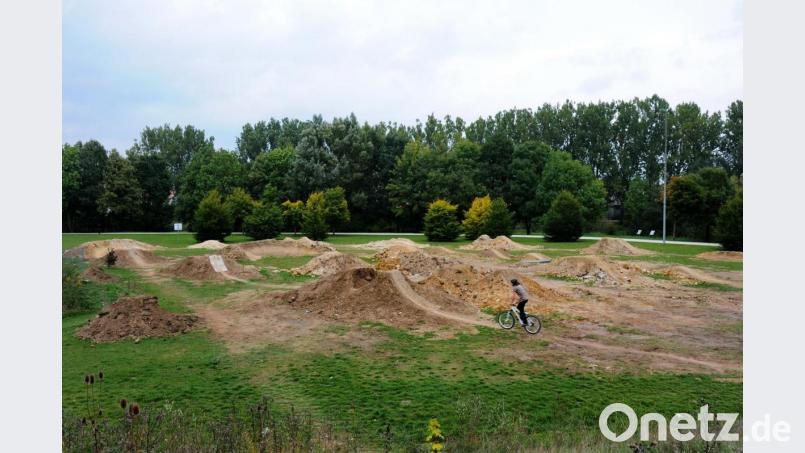 So sah der Dirt-Park am Landesgartenschaugelände kurz nach der Eröffnung 2008 aus. Jetzt ist er so verbuscht, dass er nicht mehr nutzbar ist. Bild: Stephan Huber