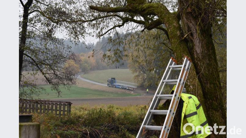 Ein Tieflader transportierte über eine Strecke von 500 Meter die Brücke zur Baustelle. Bild: lue