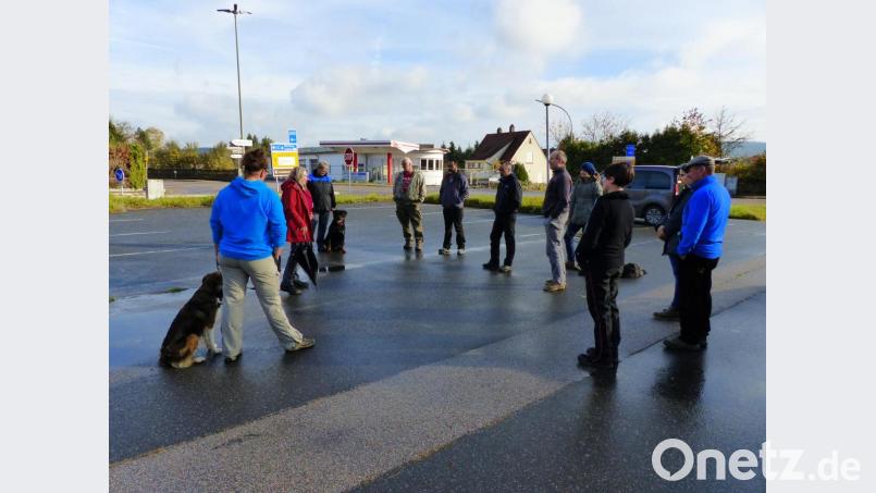 Der Herbstprüfung bei der Bezirksgruppe Nabburg des Rottweiler-Klubs stellten sich neun Teilnehmer. Bild: exb/Melanie Glaeser