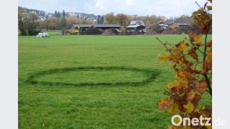 Runde Strukturen wie diese zeigen sich auf einer Wiese nahe Moosbürg. Das Phänomen hat eine Vorgeschichte. Bild: Gabi Schönberger