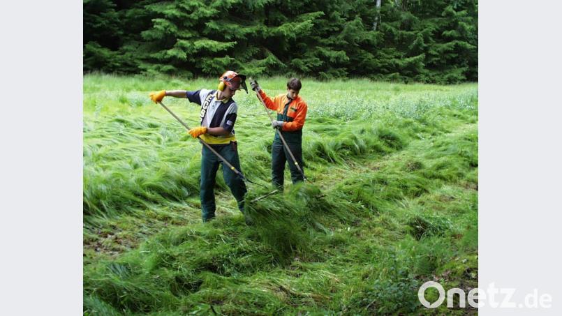 Im Einsatz für nachhaltige Landschaftspflege war die Arbeitskraft der Berufsschüler auch im Taubenwiesbachtal gefragt. Hier galt es, eine große Nasswiese zu mähen. Bild: exb/Armin Wild
