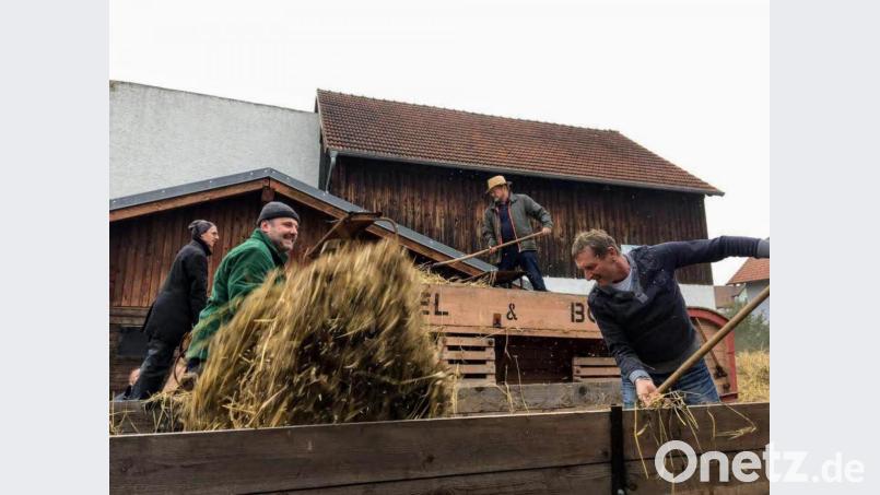 Viele Zuschauer wollten beim Einsatz der alten Dreschmaschine dabei sein. Bild: fdl