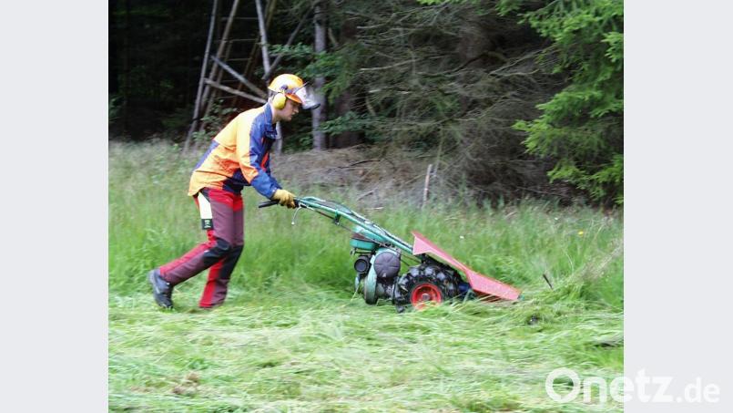 Das hohe Gras stutzen die Berufsschüler mit dem Balkenmäher. Bild: exb/Armin Wild