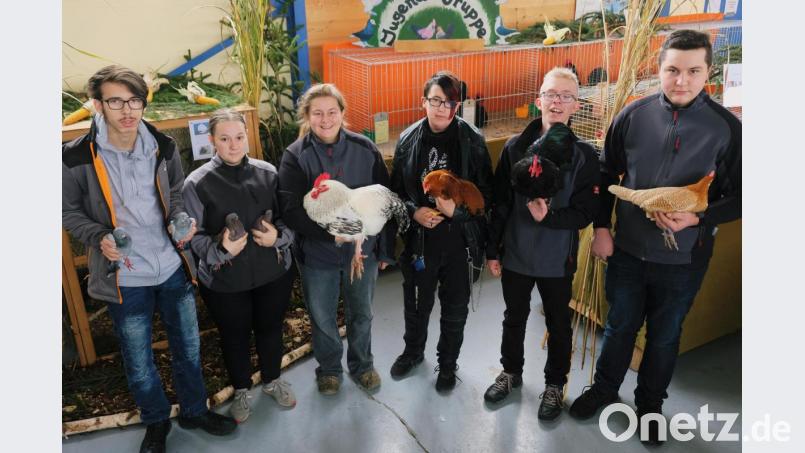 Glücklich zeigen sich die Champions über ihre von den Preisrichtern bestätigten Zuchterfolge. Unser Bild (zeigt von links) Fabian Edl, Sonja Müller, Bettina Staufer, Jenniver Fraunholz, Timo Weidner und Tobias Lindner. Bild: do