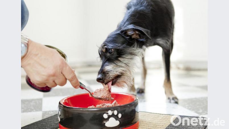 Symbolbild. Bild: Monique Wüstenhagen/dpa