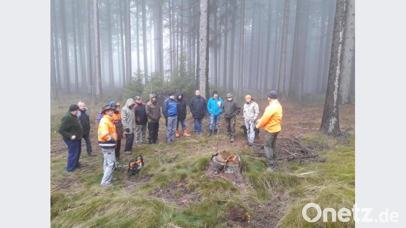 Im Schönseer Stadtwald richtete die Waldbesitzervereinigung eine Schulung aus. Dabei gab es für die Teilnehmer Expertentipps für die richtige Pflazung. Bild: exb/WBV Neunburg/Oberviechtach