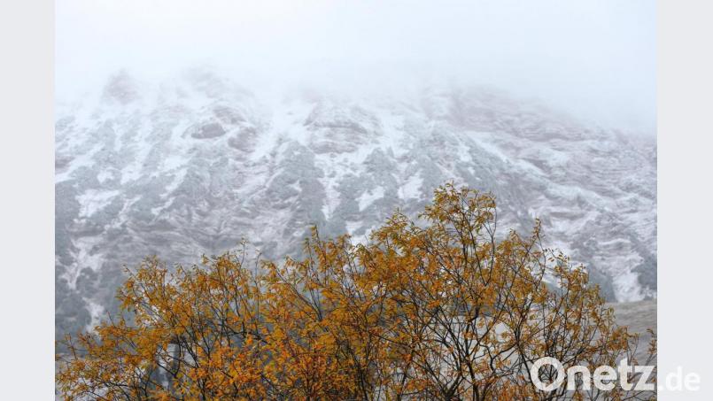 Ein herbstlich gefärbter Baum steht vor schneebedeckten Bergen. Archivbild: Karl-Josef Hildenbrand/dpa