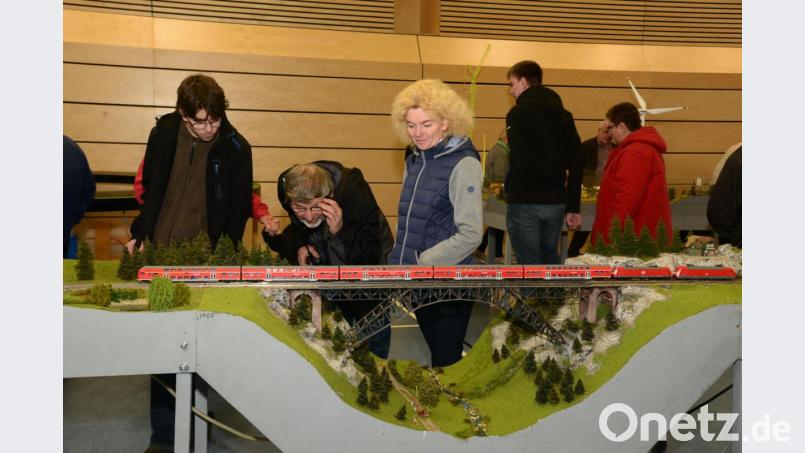 Eine Brücke in vollständiger Zuglänge. Attraktive Landschaftsmodule sind ein Steckenpferd der Modellbauer. Bild: bey