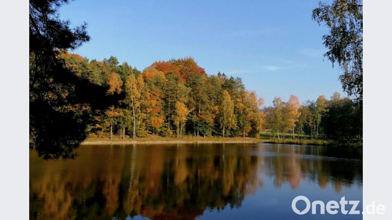 Der Bursweiher bei Tännesberg ist Hannah Liebls Lieblingsplatz. Damit gewann die Sechstklässlerin einen Wettbewerb an der Realschule. Bild: dob