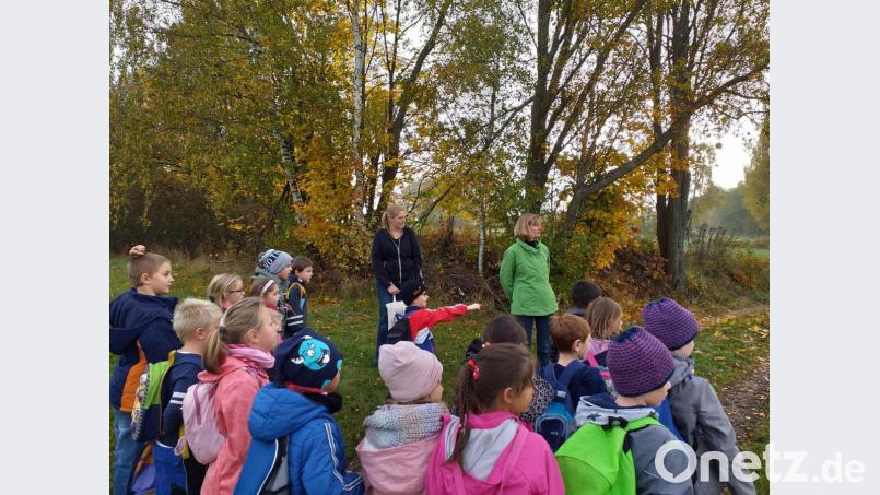 Viel Spaß hatten die Grundschüler beim Erforschen des Lebensraumes Hecke mit Naturpädagogin Eva Simeth. Bild: weu