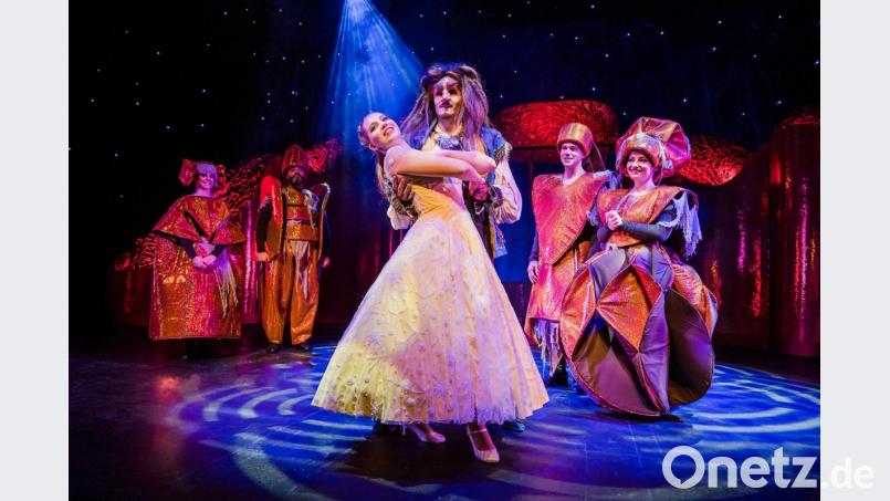 &quot;Die Schöne und das Biest - das Musical&quot; gastiert in der Weidener Max-Reger-Halle. Bild: exb/Theater Liberi/Nilz Böhme