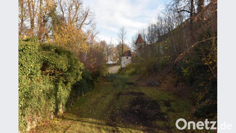 In den Stadtgraben soll durch mehr Attraktivität neues Leben einziehen. Bild: oy