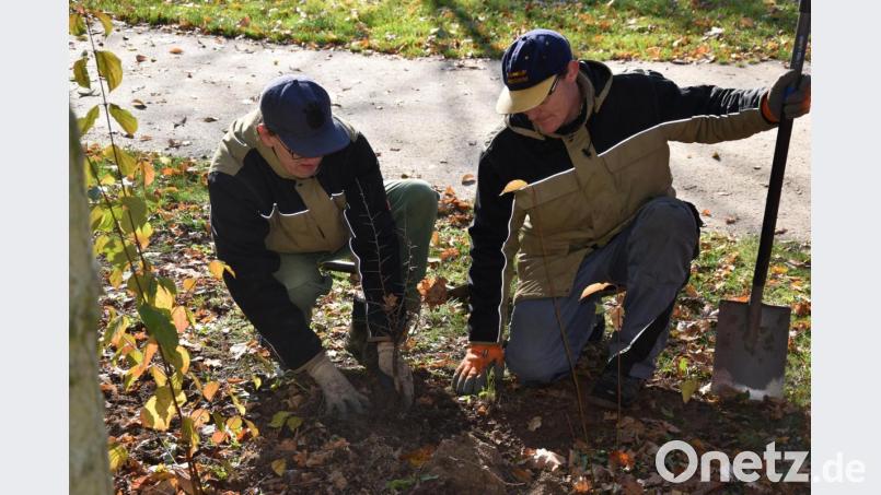 Herbstpflanzaktion in der Parkanlage Schwanenwiese. Bild: exb