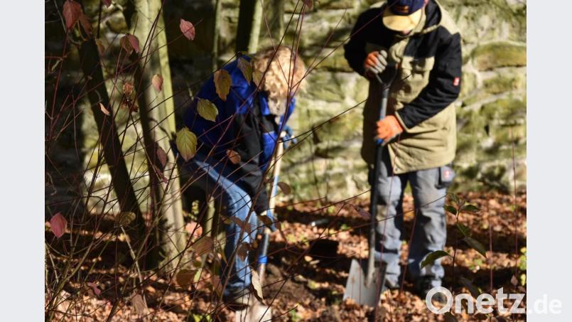 An manchen Stellen ging der Spaten sehr schwer in den Boden. Bild: exb