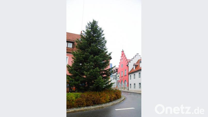 Der Weihnachtsbaum am Marktplatz steht. Bild: JOCHEN NEUMANN
ERBENDORF