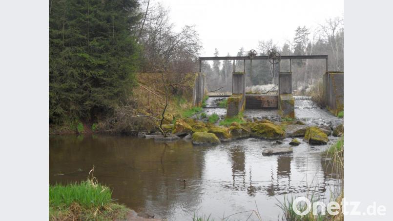 Auch das steht auf der Wunschliste einiger Röthenbacher: Ein sicherer Steg über die Mauerreste des Rablühlweiher-Wehrs, so wie es vor 1984 war. Denn am linken Ufer sprudelt ein Brünnerl mit besonders gutem Wasser aus dem Wurzelwerk. Bild: jml