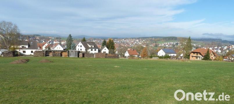 Das neue Baugebiet an der südlichen Stadteinfahrt punktet mit einem attraktiven Blick über Oberviechtach. Der Stadtrat begrüßt das Vorhaben des örtlichen Investors und startet die Bauleitplanung. In den neun bis zehn Häusern sollen vor allem kleinere Wohnungen (60 bis 75 Quadratmeter) entstehen. Bild: Portner