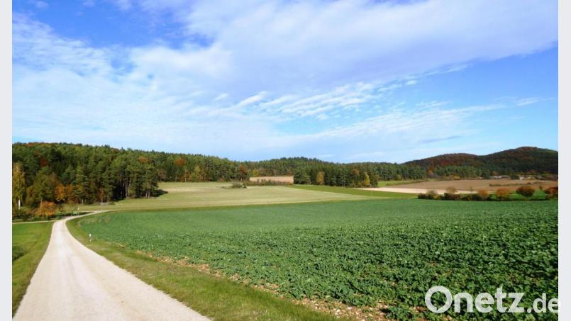 Rechts von der Straße bis zum Waldrand soll, geht es nach dem Willen des Marktes Kastl, ein Solarpark bei Oberfeld in Ständerbauweise mit fünf Hektar Größe entstehen. Bild: jp