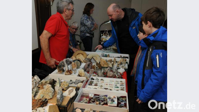 Die Besucher der Mineralienbörse informierten sich über die präsentierten Schätze. Bild: gf