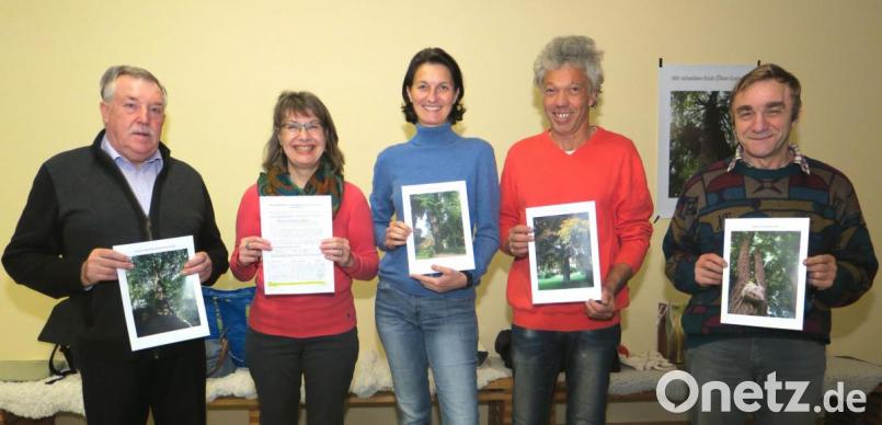 Die &quot;Baumfreunde&quot; Franz Pointl, Gabriele Jokele, Inge Sieber-Jehl, Jochen Surel und Johann Kirchberger (von links) fordern eine Baumschutzverordnung für Schwandorf und sammeln Unterschriften. Bild: Hirsch