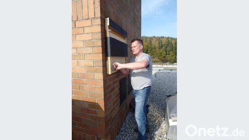Fledermausbetreuer Rolf Dorn montiert das neue Fledermausquartier am Landratsamt Schwandorf. Foto: Naturparkverein Oberpfälzer Wald, Birgit Simmeth. Bild: exb