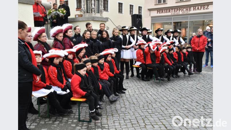 Fünf Gruppen wirken heuer bei der Narrhalla mit: die &quot;Purzelgarde&quot;, die Kindergarde, die Jugendgarde, die Prinzengarde und ganz neu die Showtanzgruppe &quot;Ilonique&quot;. Bild: hcz