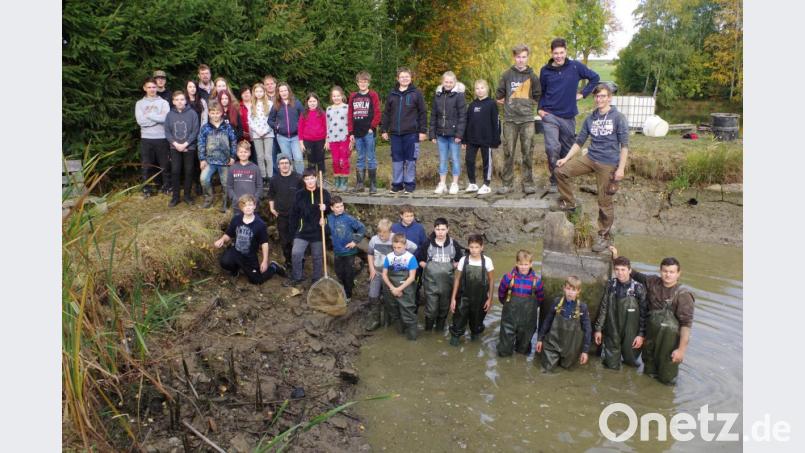 Abfischen am Schulteich. Bild: Mittelschule Tirschenreuth/exb