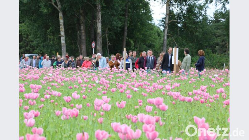 Ergänzend zu regelmäßigen Bemühungen und Angeboten organisierte die Öko-Modellregion Steinwald in den zurückliegenden Jahren auch zahlreiche Bio-Aktivitäten. Die Angebote wurden dankend angenommen. Bild: bsc