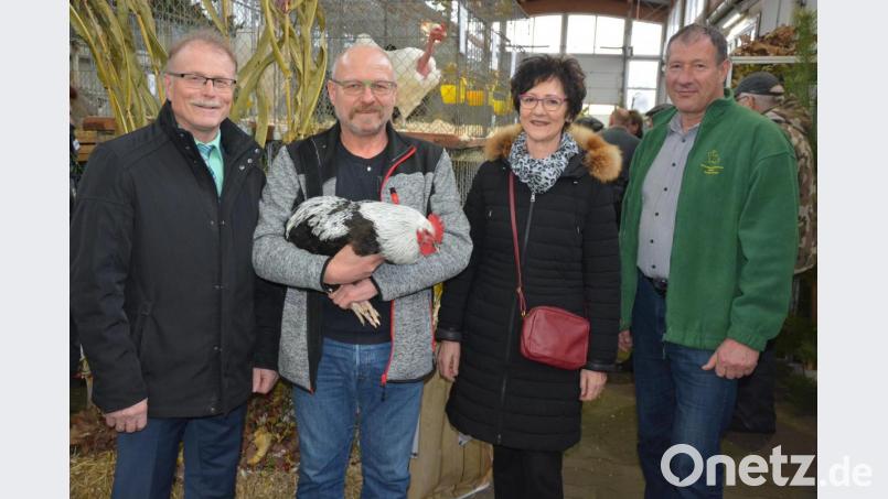 Geflügelzüchter-Vorsitzender Siegmund Lenk (Zweiter von links) präsentierte bei der Eröffnung der Schau einen Niederrheiner Gockel. Erfreut über die Ausrichtung einer Ausstellung nach siebenjähriger Pause zeigten sich Bürgermeister Max Bindl (links) sowie Zweiter Bürgermeister Reinhard Wurm und Kreisrätin Inge Härtl. Bild: jr