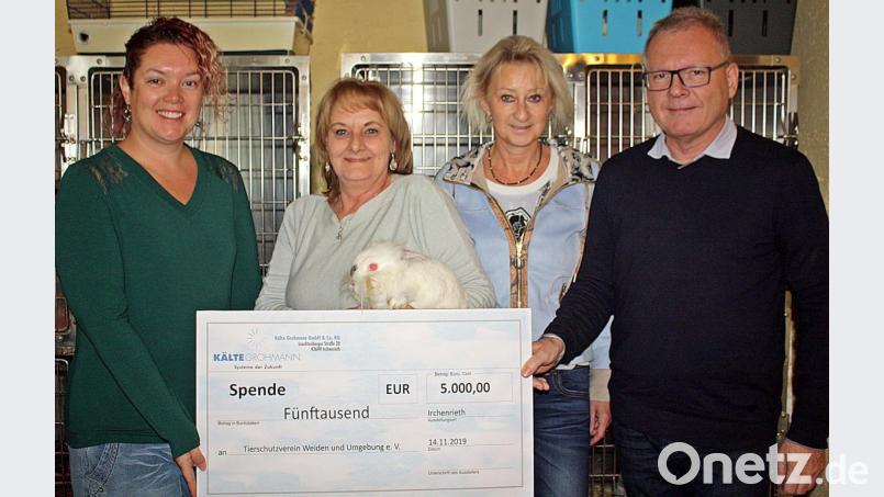 Jutta Böhm (Zweite von links) nimmt die Spende fürs Tierheim von (von links) Juniorchefin Alexandra Grohmann, Marion und Armin Grohmann entgegen. Bild: R. Kreuzer