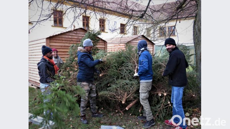 Die Stadt Tirschenreuth hat Christbäumchen gebracht, die für Dekorationszwecke verteilt werden. Bild: ubb