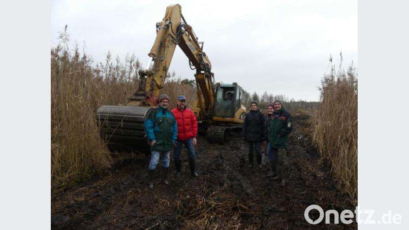 Um die Lebensräume von Lachmöwen und Schwarzhalstaucher am Obersee zu sichern, wird dort fleißig gebaggert. Vom Fortschritt dieser sogenannten Biodiversitäts-Maßnahme machen sich (von links) Wolfgang Nerb, Karl Lorenz, Maria Hanauer, Franziska Meier und Martin Gottsche ein Bild. Bild: rn