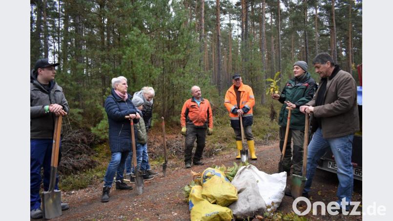 Zur Baumpflanzaktion treffen sich die Bürger mit Bürgermeister Edgar Knobloch (von rechts) und Martin Gottsche, Revierleiter beim Amt für Ernährung und Forsten. Bild: rgr
